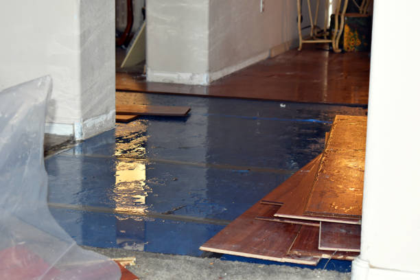 Professional Water Damage Restoration technician working in Isle Au Haut, ME